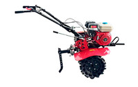 Мотоблок ТАТА TT-900-ZX(3+1) (ремень) на бензиновый двигатель 170F (7 л.с.), колесо 4,00*8 (безвоздушное)
