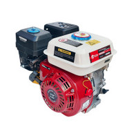 Двигатель Edon ED 210-19